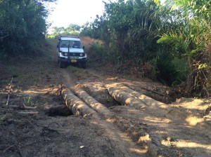 The log bridge leading to our property
