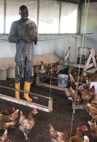 Tumamee_with_chickens